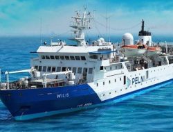 KM Wilis Agustus 2025 Jadwal & Harga Tiket dari Batulicin ke NTT